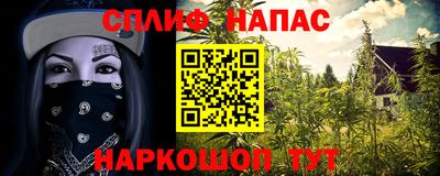 стафф Гатчина