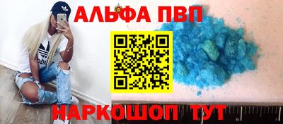 стафф Гатчина
