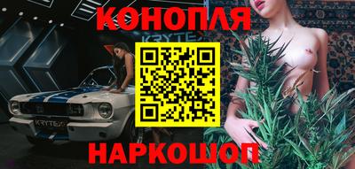 эйфоретик Гай