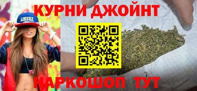 стафф Гатчина