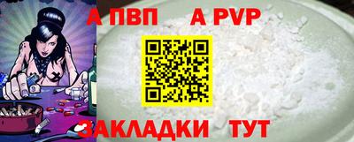 стафф Гатчина
