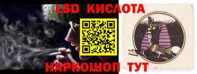 стафф Гатчина