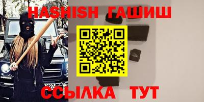 стафф Гатчина